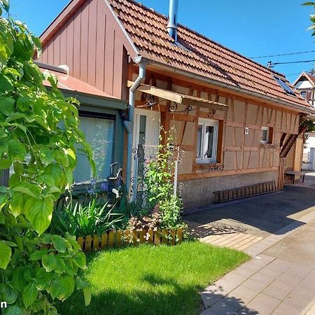 Villa Oasis D'Alsace Valff Exterior foto