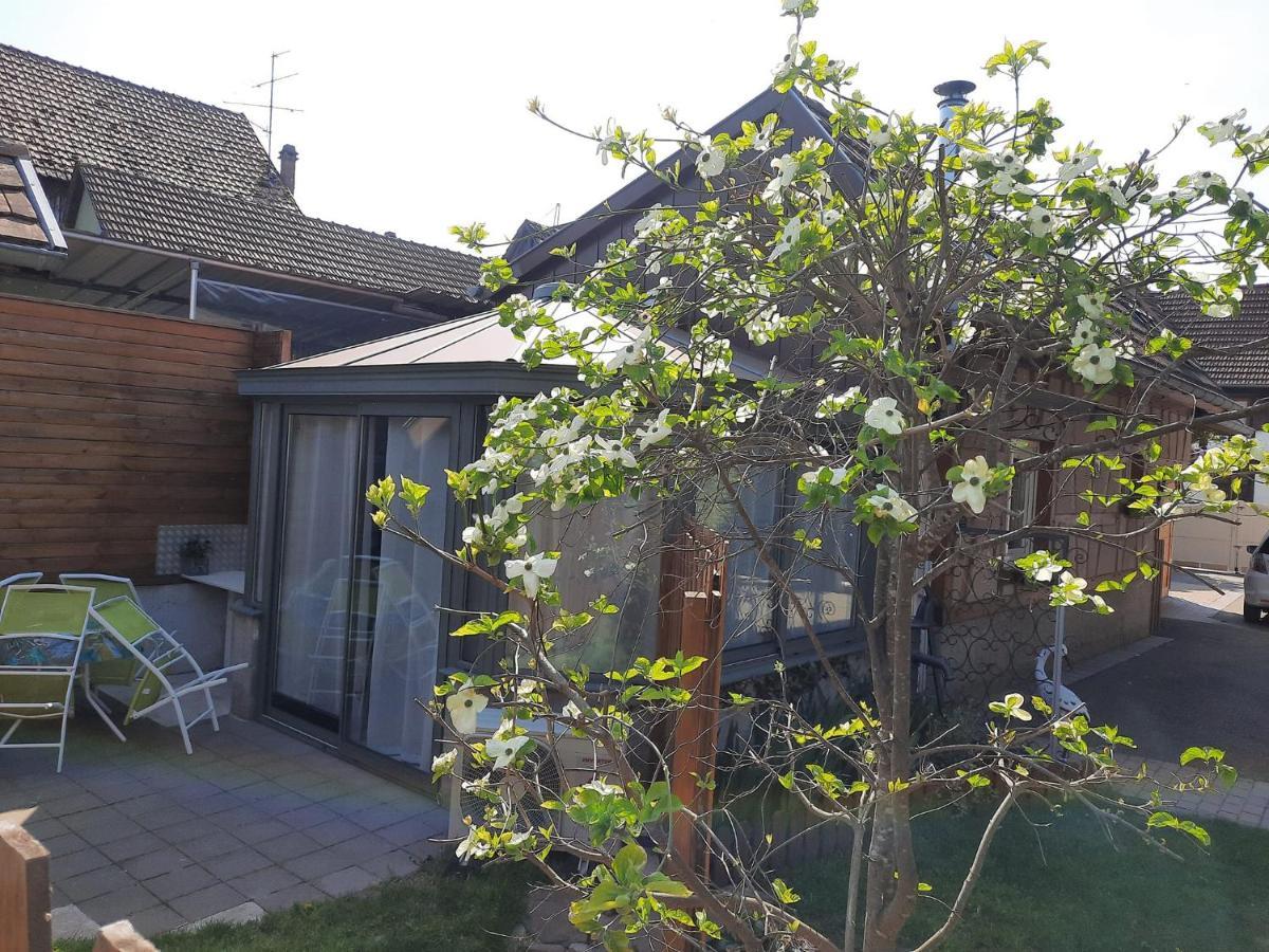 Villa Oasis D'Alsace Valff Exterior foto